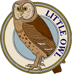 Little Owl of Europe-M