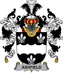 Irish Family Coat of Arms (v.25b) Ashfield