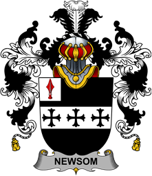Irish Family Coat of Arms (v.25b) Newsom or Newsam