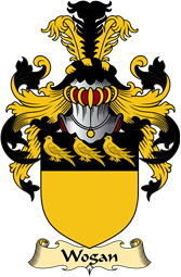 Irish Family Coat of Arms (v.23) for Wogan