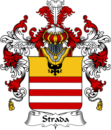 Italian Family Coat of Arms (v.25b) Strada