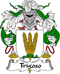 Portuguese Coat of Arms for Trigoso