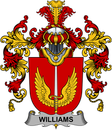 Irish Family Coat of Arms (v.25b) Williams