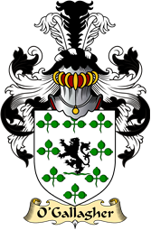 Irish Family Coat of Arms (v.23) for O