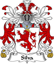 Italian Coat of Arms for Silva