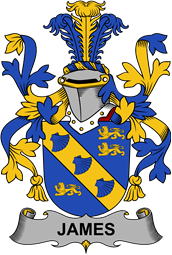 Irish Coat of Arms for James