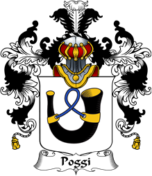 Italian Family Coat of Arms (v.25b) Poggi
