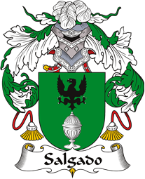 Spanish Coat of Arms for Salgado