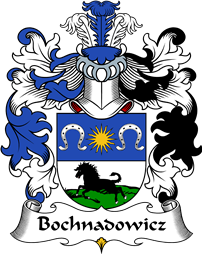 Polish Coat of Arms for Bochnadowicz