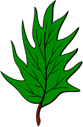 Holly Leaf