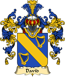 French Family Coat of Arms (v.25) David