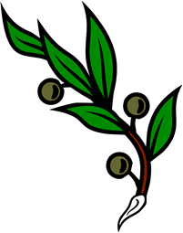 Olive Branch Fructed