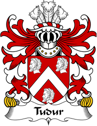 Welsh Coat of Arms for Tudur (AB EDNYFED FYCHAN)