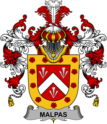 Irish Family Coat of Arms (v.25b) Malpas