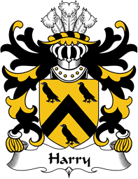 Welsh Coat of Arms for Harry (AP THOMAS)