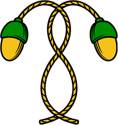 Acorns (with cords)
