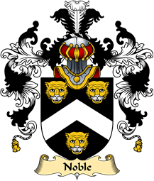 Irish Family Coat of Arms (v.25a) Noble