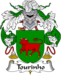Portuguese Coat of Arms for Tourinho
