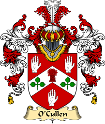 Irish Family Coat of Arms (v.25a) O