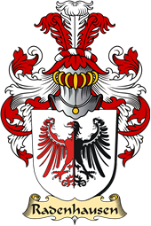 v.23 Coat of Family Arms from Germany for Radenhausen
