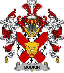 Irish Family Coat of Arms (v.25b) Bodkin