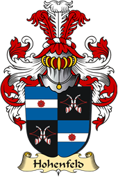 v.23 Coat of Family Arms from Germany for Hohenfeld