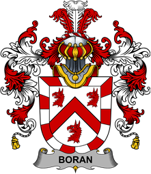 Irish Family Coat of Arms (v.25b) Boran or O
