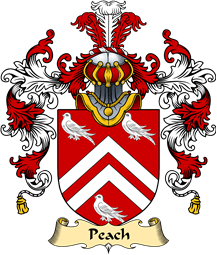 English Family Coat of Arms (v.25) Peach