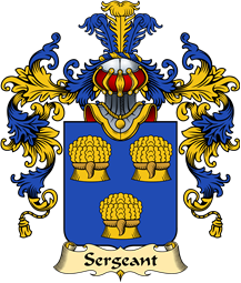 French Family Coat of Arms (v.25) Sergeant