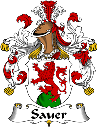 German Wappen Coat of Arms for Sauer