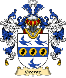 English Family Coat of Arms (v.25) George