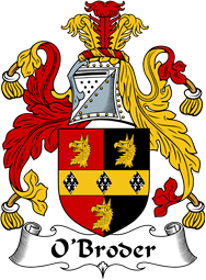 Irish Coat of Arms for O