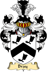 Irish Family Coat of Arms (v.23) for Bray