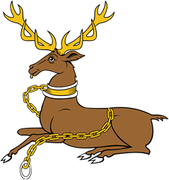 Stag Lodged Collared and Chained