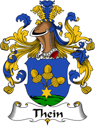 German Wappen Coat of Arms for Thein