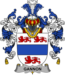 Irish Family Coat of Arms (v.25b) Gannon or McGannon