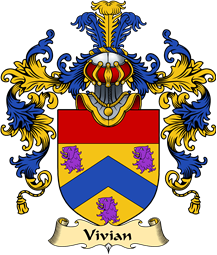 English Family Coat of Arms (v.25) Vivian