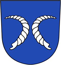 Swiss Coat of Arms for Haldenstein