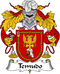 Portuguese Coat of Arms for Temudo