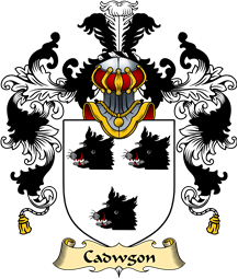 Welsh Family Coat of Arms (v.25) Cadwgon (AB ELYSTAN GLODRYDD)