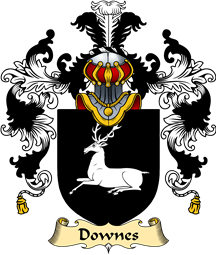 English Family Coat of Arms (v.25) Downes