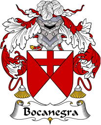 Spanish Coat of Arms for Bocanegra