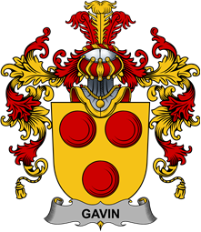 Irish Family Coat of Arms (v.25b) Gavin or O
