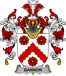 Irish Family Coat of Arms (v.25b) Bannon or O