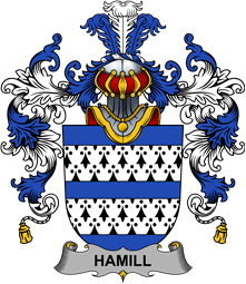 Irish Family Coat of Arms (v.25b) Hamill