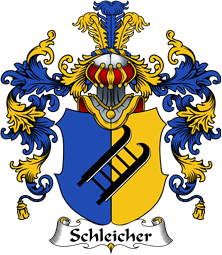 German Wappen Coat of Arms (v.25) Schleicher