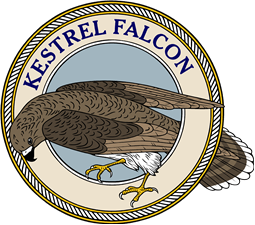 Kestrel Falcon-M