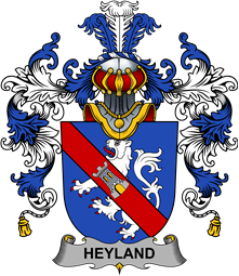 Irish Family Coat of Arms (v.25b) Heyland