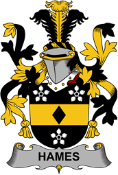 Irish Coat of Arms for Hames