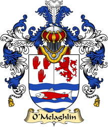 Irish Family Coat of Arms (v.25a) O